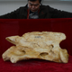 La primera vértebra cervical de la columna del rinoceronte gigante Paraceratherium linxiaense
